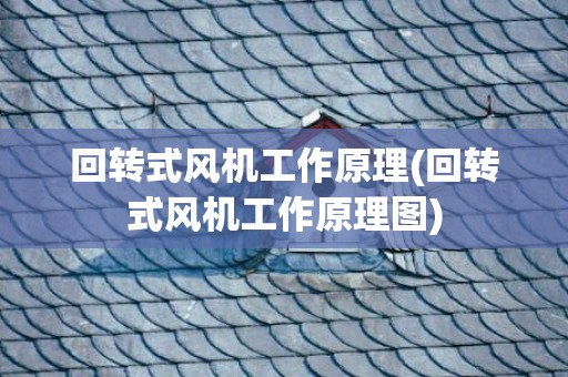 回转式风机工作原理(回转式风机工作原理图)