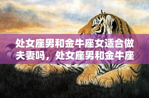 处女座男和金牛座女适合做夫妻吗，处女座男和金牛座女：婚姻组合是否天作之合？