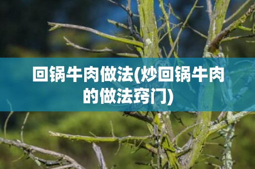 回锅牛肉做法(炒回锅牛肉的做法窍门)