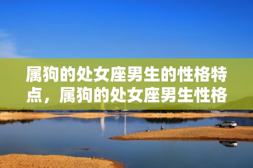 属狗的处女座男生的性格特点，属狗的处女座男生性格特点是什么？