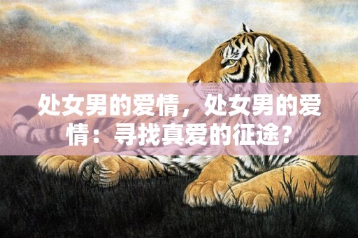 处女男的爱情，处女男的爱情：寻找真爱的征途？
