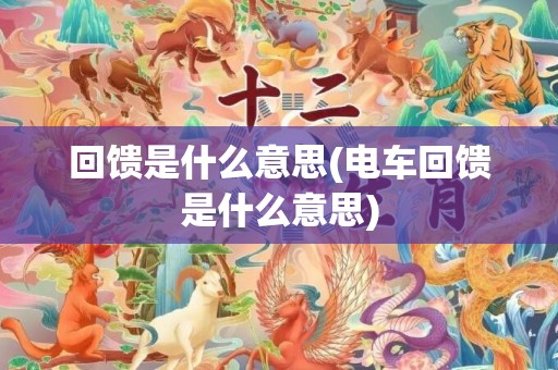 回馈是什么意思(电车回馈是什么意思)