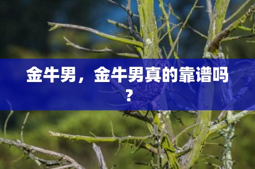 金牛男，金牛男真的靠谱吗？