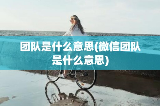 团队是什么意思(微信团队是什么意思)