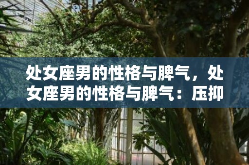 处女座男的性格与脾气，处女座男的性格与脾气：压抑还是忍让？
