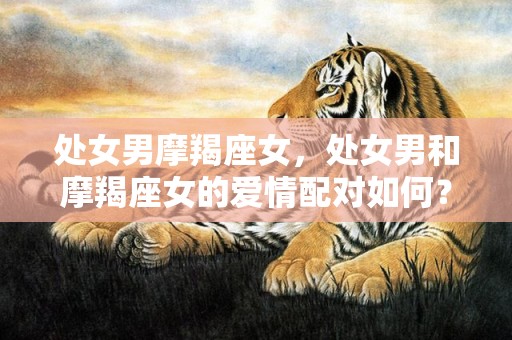 处女男摩羯座女，处女男和摩羯座女的爱情配对如何？