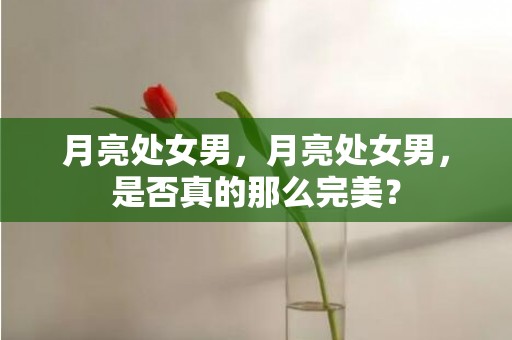 月亮处女男，月亮处女男，是否真的那么完美？