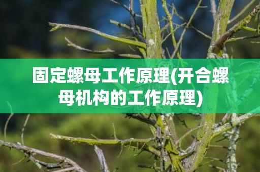 固定螺母工作原理(开合螺母机构的工作原理)