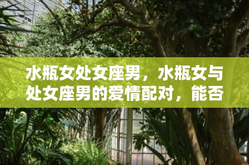 水瓶女处女座男，水瓶女与处女座男的爱情配对，能否绽放幸福的花朵？