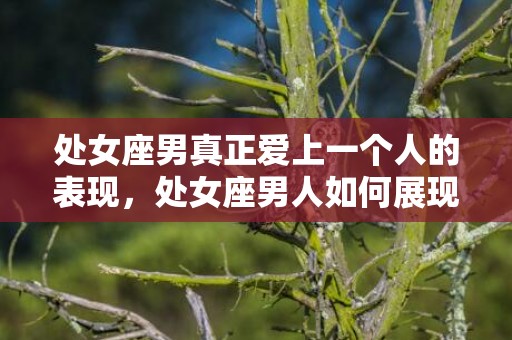 处女座男真正爱上一个人的表现，处女座男人如何展现真爱？