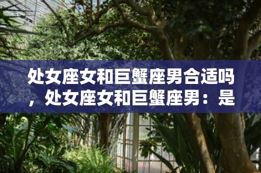 处女座女和巨蟹座男合适吗，处女座女和巨蟹座男：是天生一对吗？