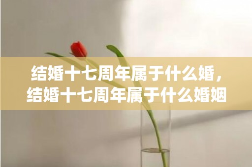 结婚十七周年属于什么婚，结婚十七周年属于什么婚姻状况(婚姻状况的离异属于未婚还是已婚)