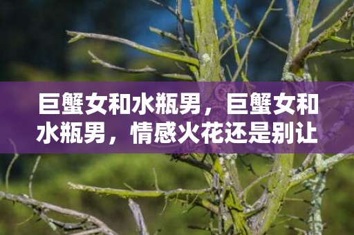 巨蟹女和水瓶男，巨蟹女和水瓶男，情感火花还是别让差异扑灭？
