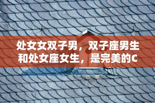 处女女双子男，双子座男生和处女座女生，是完美的CP吗？