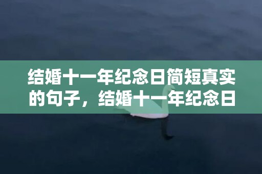 结婚十一年纪念日简短真实的句子，结婚十一年纪念日怎么表达
