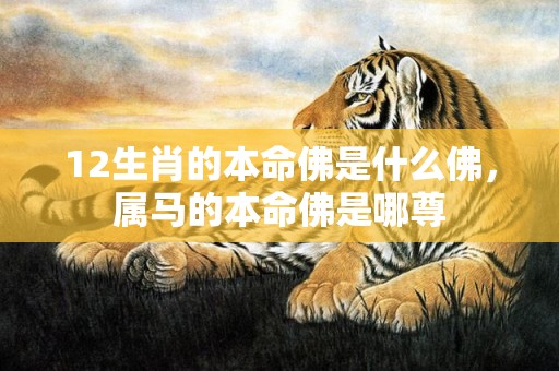 12生肖的本命佛是什么佛，属马的本命佛是哪尊