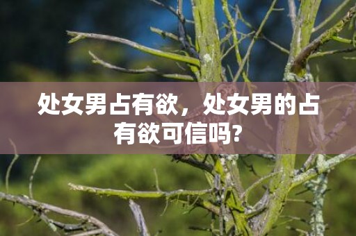 处女男占有欲，处女男的占有欲可信吗?