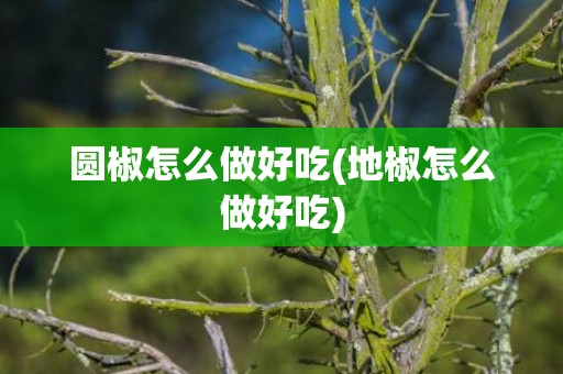 圆椒怎么做好吃(地椒怎么做好吃)
