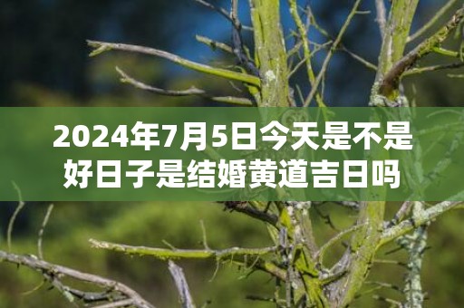 2024年7月5日今天是不是好日子是结婚黄道吉日吗