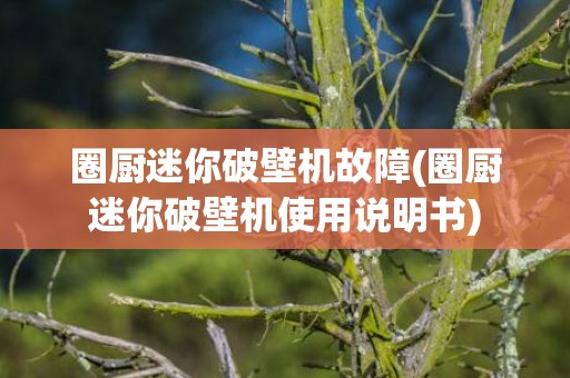 圈厨迷你破壁机故障(圈厨迷你破壁机使用说明书)