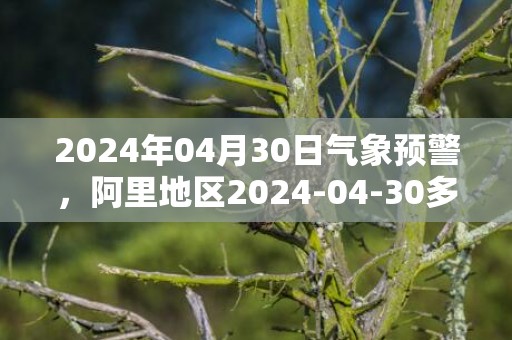 2024年04月30日气象预警，阿里地区2024-04-30多云最高温度14度