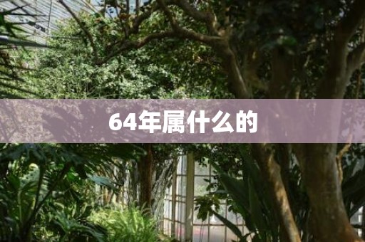 64年属什么的