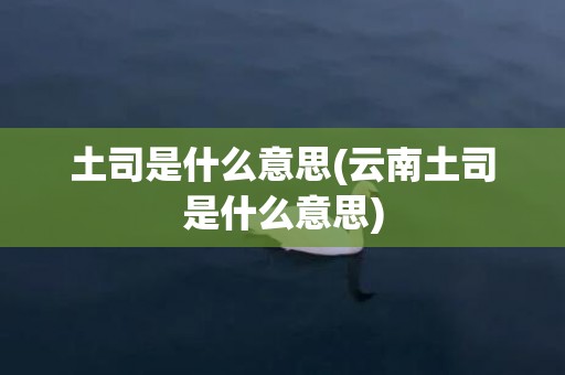 土司是什么意思(云南土司是什么意思)