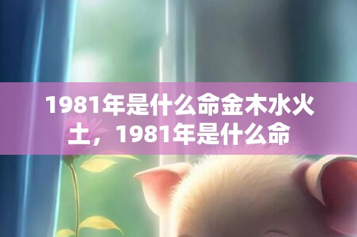 1981年是什么命金木水火土，1981年是什么命