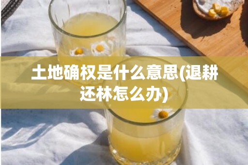 土地确权是什么意思(退耕还林怎么办)