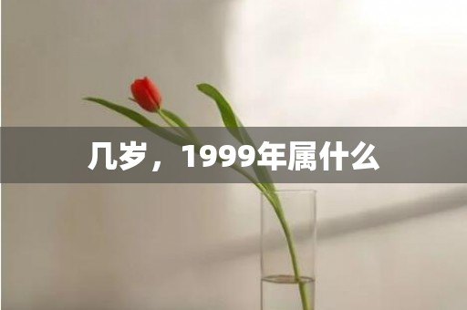 几岁，1999年属什么