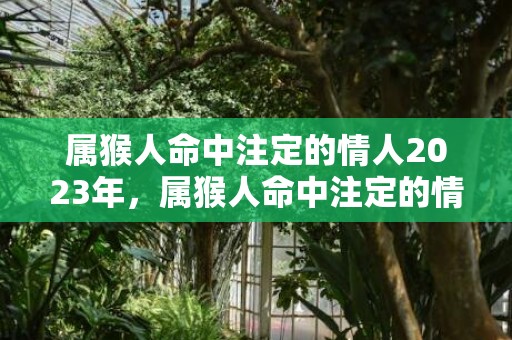 属猴人命中注定的情人2023年，属猴人命中注定的情人