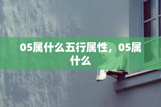 05属什么五行属性，05属什么