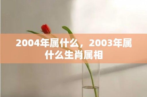 2004年属什么，2003年属什么生肖属相