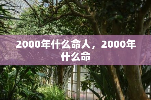 2000年什么命人，2000年什么命