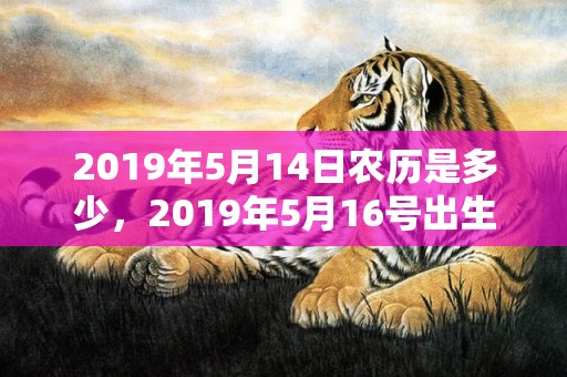 2019年5月14日农历是多少，2019年5月16号出生的男孩起什么名字好听，五行属什么