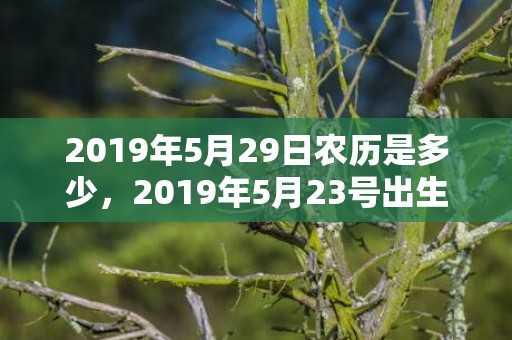2019年5月29日农历是多少，2019年5月23号出生的男宝宝五行缺木要如何起名字