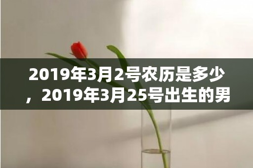 2019年3月2号农历是多少，2019年3月25号出生的男宝宝五行缺火要怎么起名字