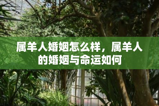 属羊人婚姻怎么样，属羊人的婚姻与命运如何