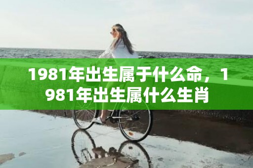 1981年出生属于什么命，1981年出生属什么生肖