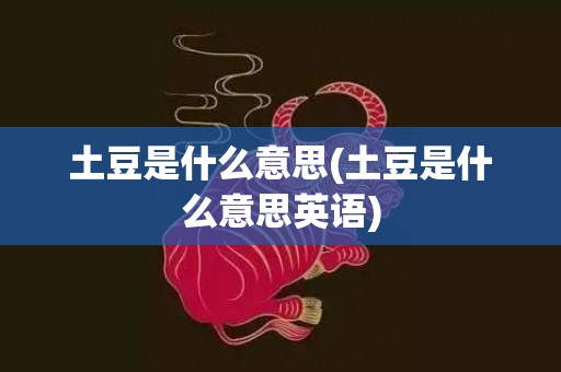土豆是什么意思(土豆是什么意思英语)