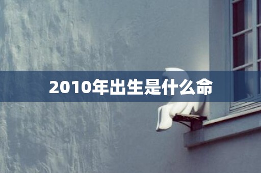 2010年出生是什么命