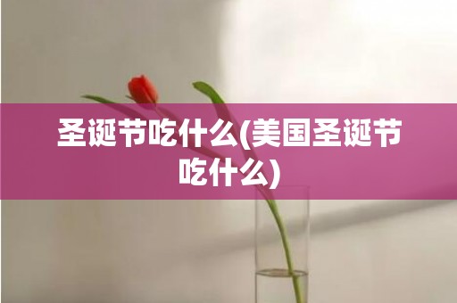 圣诞节吃什么(美国圣诞节吃什么)