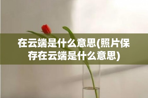 在云端是什么意思(照片保存在云端是什么意思)