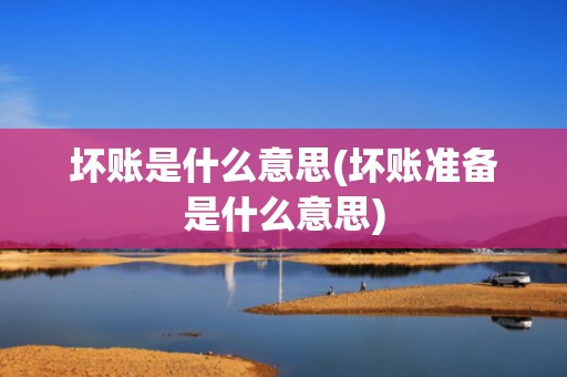 坏账是什么意思(坏账准备是什么意思)