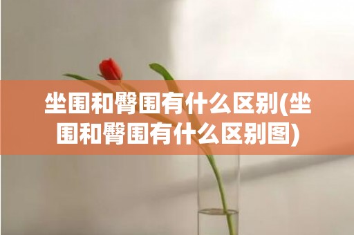 坐围和臀围有什么区别(坐围和臀围有什么区别图)