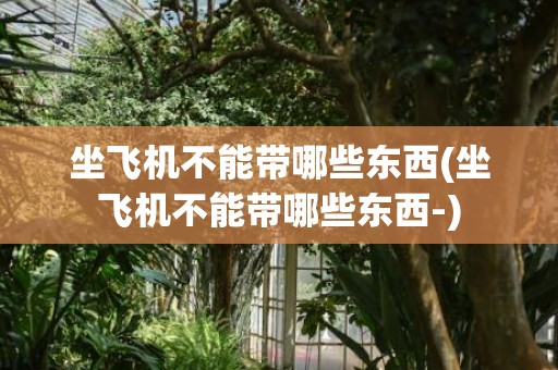 坐飞机不能带哪些东西(坐飞机不能带哪些东西-)