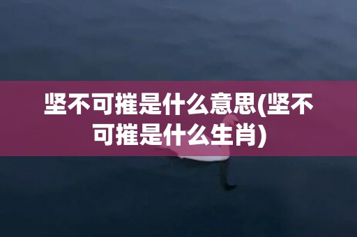 坚不可摧是什么意思(坚不可摧是什么生肖)