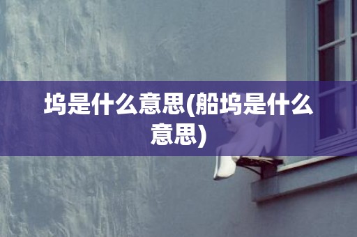 坞是什么意思(船坞是什么意思)