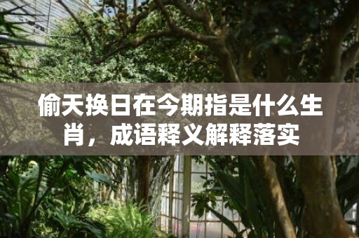 偷天换日在今期指是什么生肖，成语释义解释落实