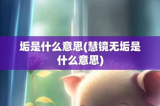 垢是什么意思(慧镜无垢是什么意思)